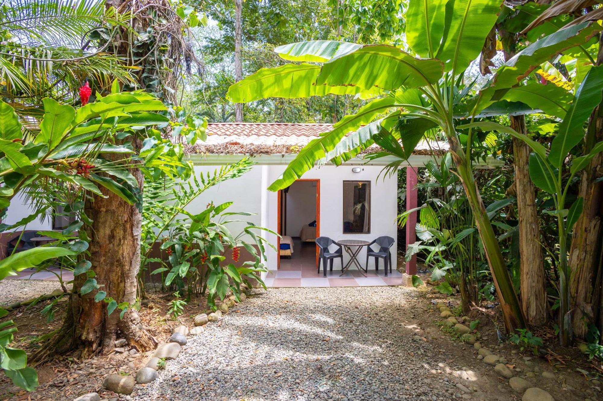 Bambutel Cocles Hotel Puerto Viejo de Talamanca ภายนอก รูปภาพ